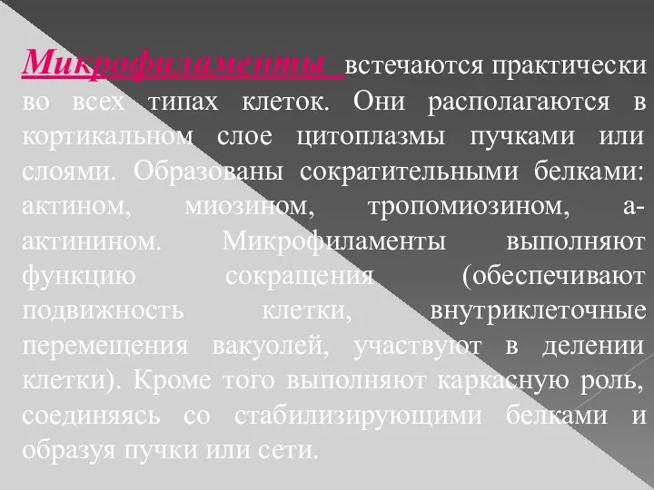 Микрофиламенты встечаются практически во всех типах клеток. Они располагаются в