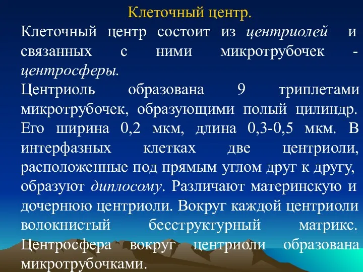 Клеточный центр. Клеточный центр состоит из центриолей и связанных с