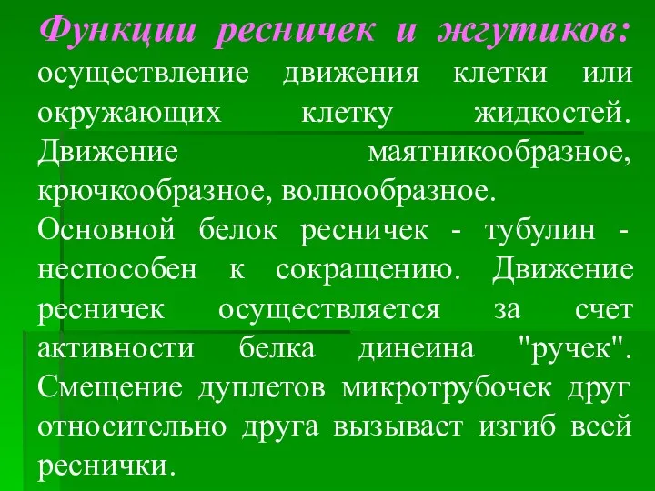 Функции ресничек и жгутиков: осуществление движения клетки или окружающих клетку