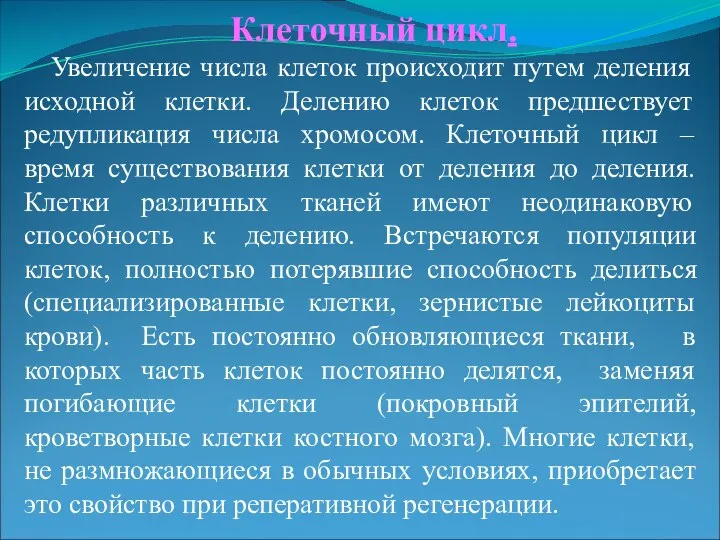 Клеточный цикл. Увеличение числа клеток происходит путем деления исходной клетки.