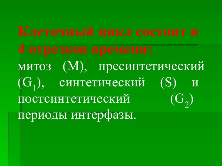 Клеточный цикл состоит и 4 отрезков времени: митоз (М), пресинтетический