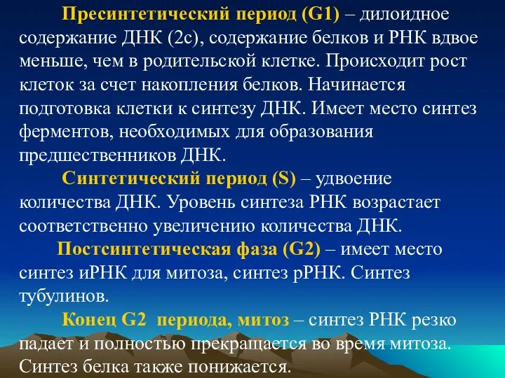 Пресинтетический период (G1) – дилоидное содержание ДНК (2с), содержание белков