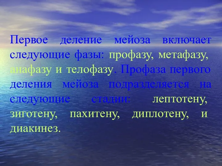 Первое деление мейоза включает следующие фазы: профазу, метафазу, анафазу и