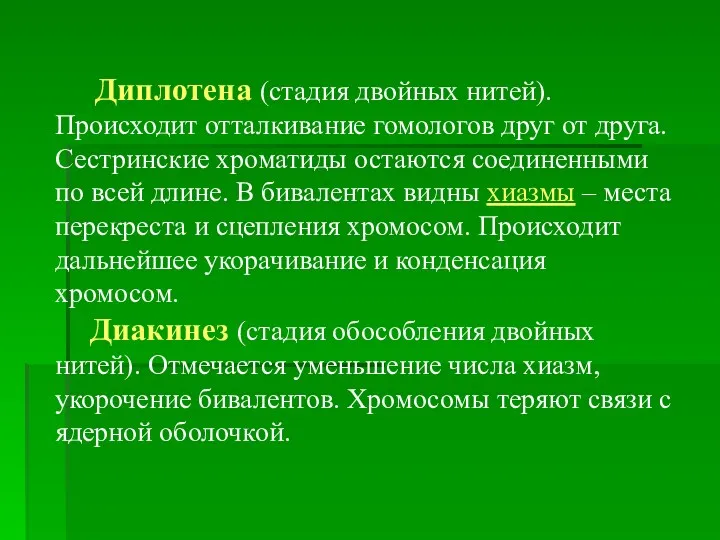 Диплотена (стадия двойных нитей). Происходит отталкивание гомологов друг от друга.