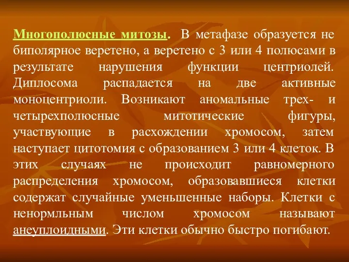 Многополюсные митозы. В метафазе образуется не биполярное веретено, а веретено