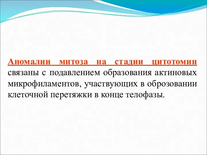 Аномалии митоза на стадии цитотомии связаны с подавлением образования актиновых