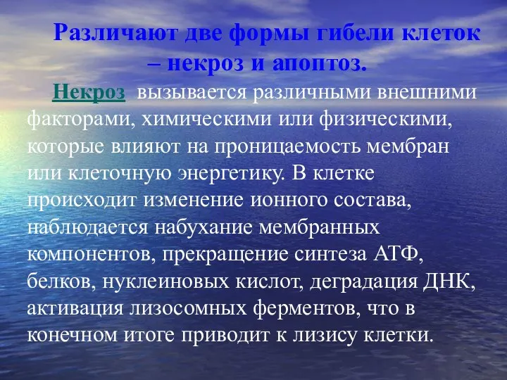 Различают две формы гибели клеток – некроз и апоптоз. Некроз