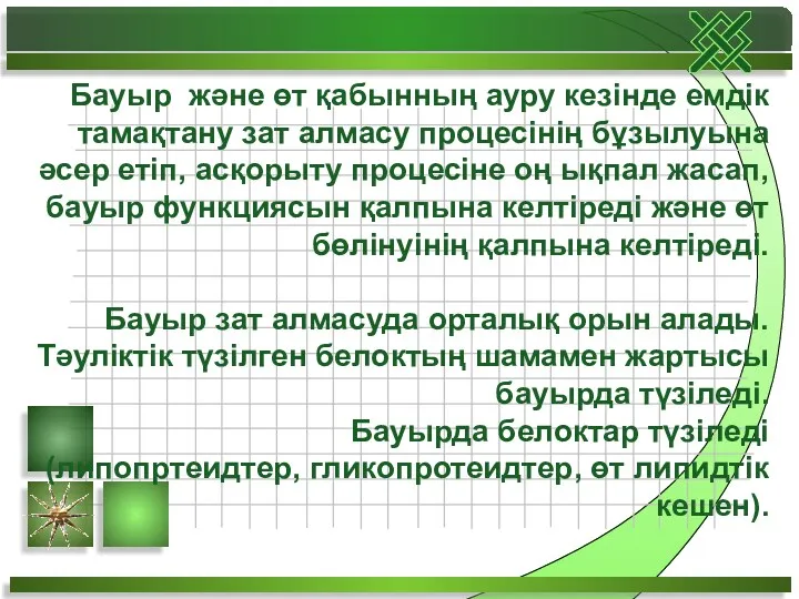 Бауыр және өт қабынның ауру кезінде емдік тамақтану зат алмасу