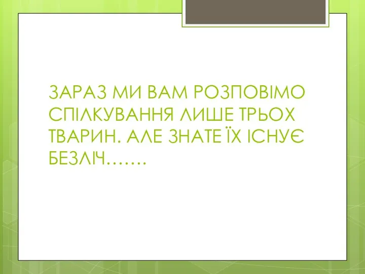 ЗАРАЗ МИ ВАМ РОЗПОВІМО СПІЛКУВАННЯ ЛИШЕ ТРЬОХ ТВАРИН. АЛЕ ЗНАТЕ ЇХ ІСНУЄ БЕЗЛІЧ…….