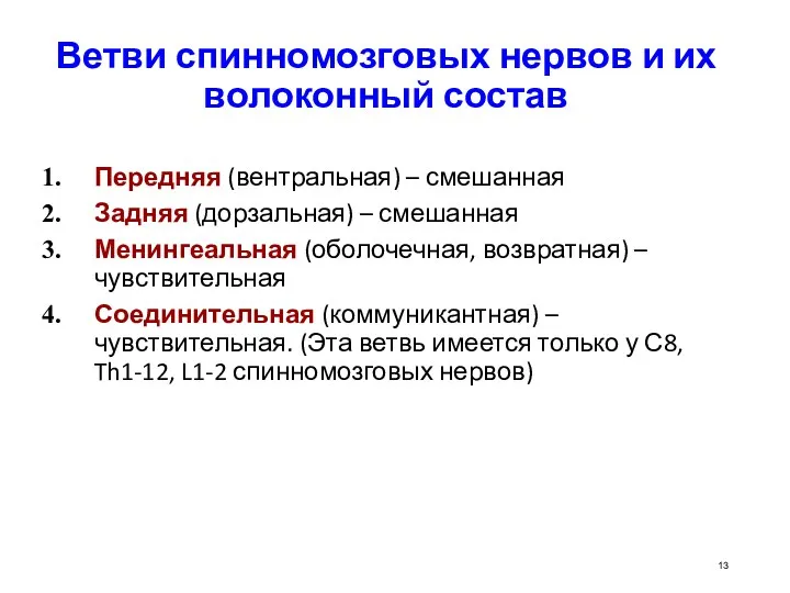 Ветви спинномозговых нервов и их волоконный состав Передняя (вентральная) –