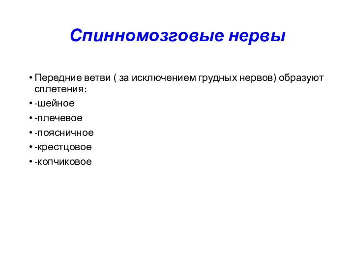 Спинномозговые нервы Передние ветви ( за исключением грудных нервов) образуют сплетения: -шейное -плечевое -поясничное -крестцовое -копчиковое