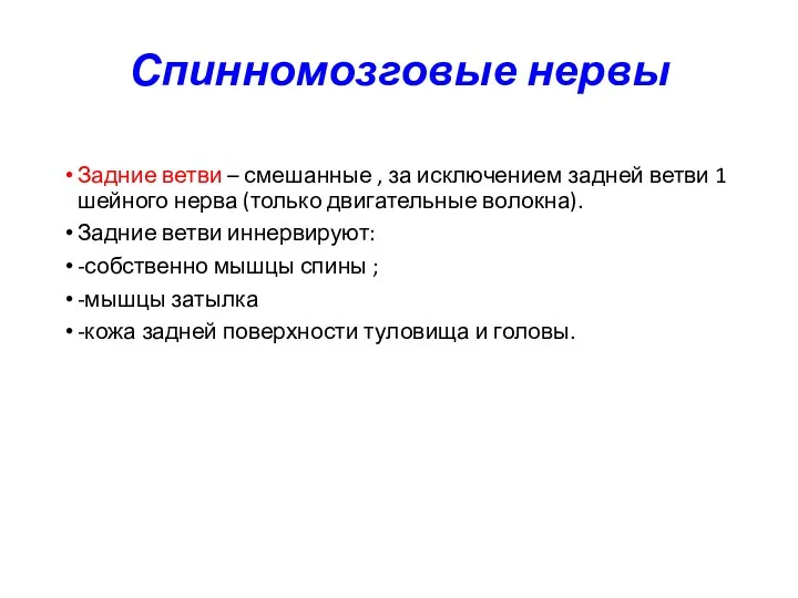 Спинномозговые нервы Задние ветви – смешанные , за исключением задней