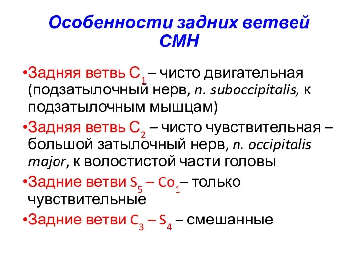 Особенности задних ветвей СМН Задняя ветвь С1 – чисто двигательная