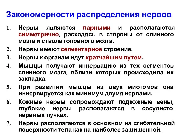 Закономерности распределения нервов Нервы являются парными и располагаются симметрично, расходясь