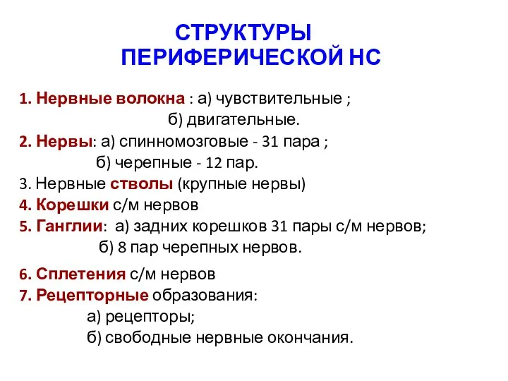 СТРУКТУРЫ ПЕРИФЕРИЧЕСКОЙ НС 1. Нервные волокна : а) чувствительные ;