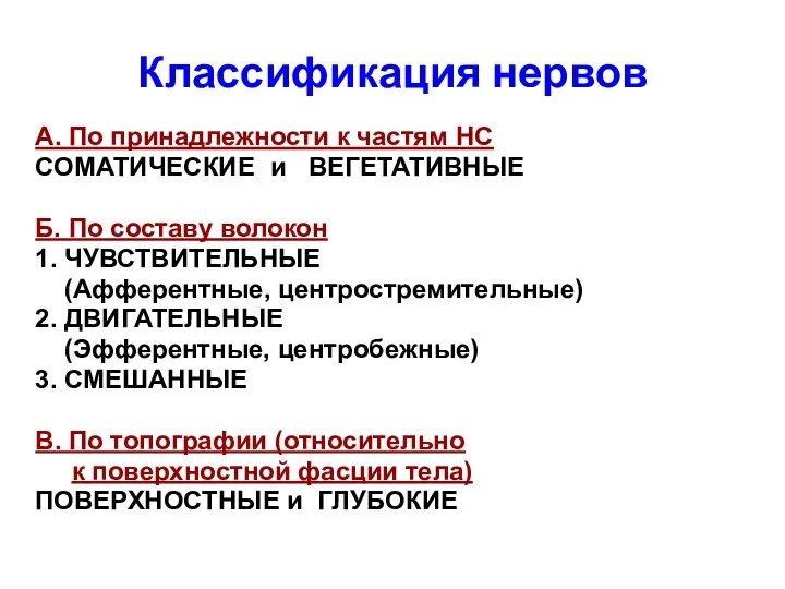 Классификация нервов А. По принадлежности к частям НС СОМАТИЧЕСКИЕ и