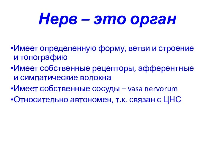 Нерв – это орган Имеет определенную форму, ветви и строение