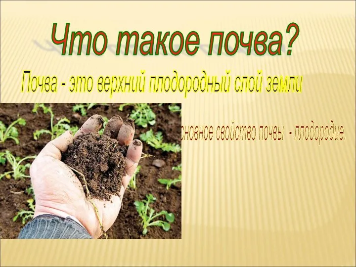 Что такое почва? Почва - это верхний плодородный слой земли Основное свойство почвы - плодородие.