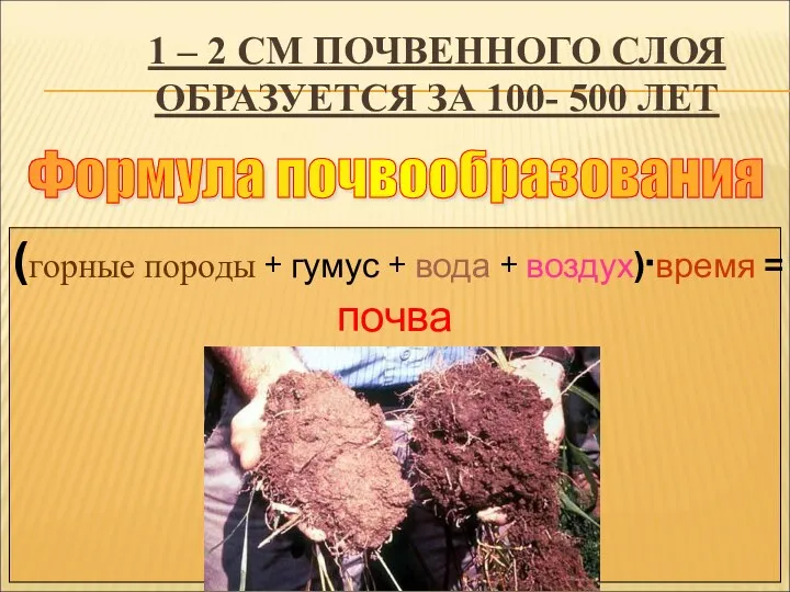 1 – 2 СМ ПОЧВЕННОГО СЛОЯ ОБРАЗУЕТСЯ ЗА 100- 500