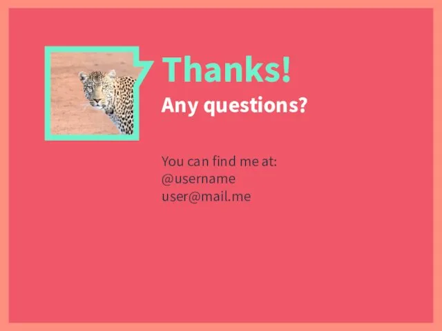 Thanks! Any questions? You can find me at: @username user@mail.me