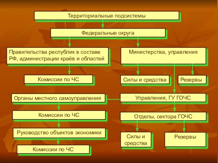 Территориальные подсистемы Федеральные округа Правительства республик в составе РФ, администрации