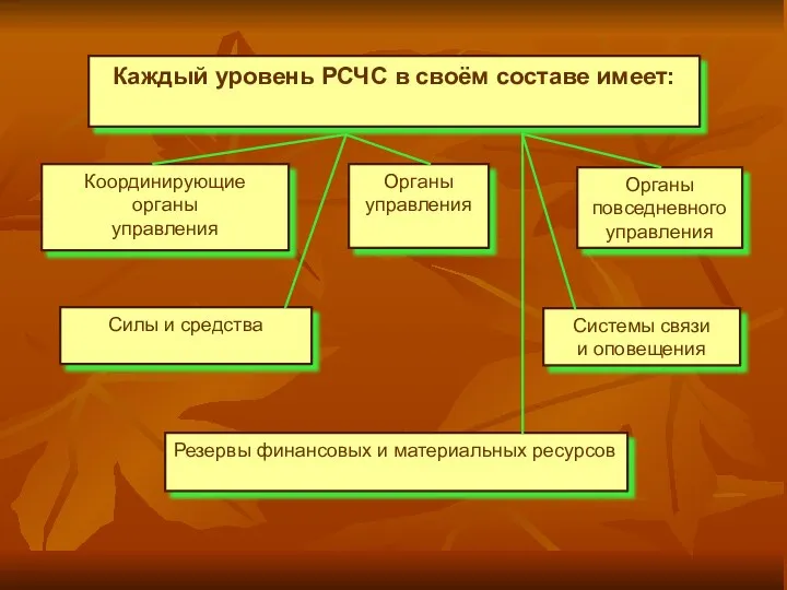 Каждый уровень РСЧС в своём составе имеет: Координирующие органы управления