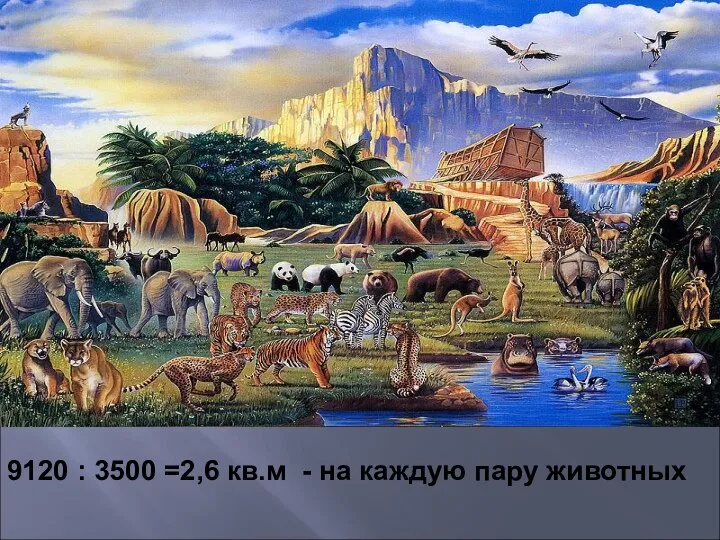 9120 : 3500 =2,6 кв.м - на каждую пару животных