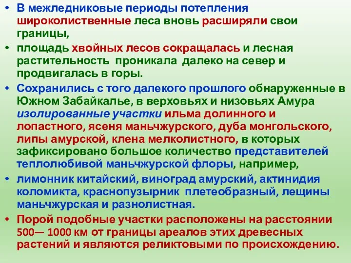 В межледниковые периоды потепления широколиственные леса вновь расширяли свои границы,