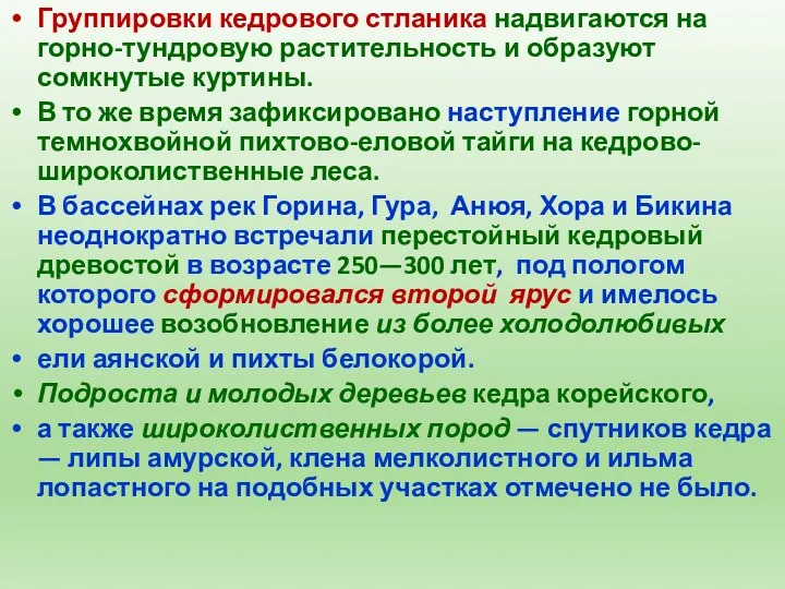 Группировки кедрового стланика надвигаются на горно-тундровую растительность и образуют сомкнутые