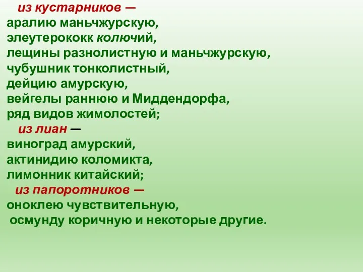 из кустарников — аралию маньчжурскую, элеутерококк колючий, лещины разнолистную и