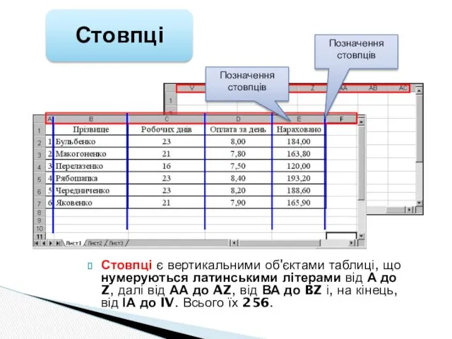 Стовпці є вертикальними об'єктами таблиці, що нумеруються латинськими літерами від