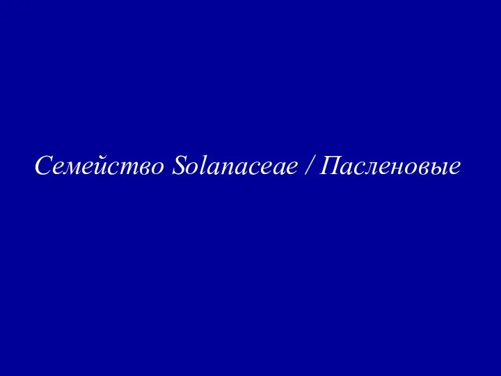 Семейство Solanaceae / Пасленовые