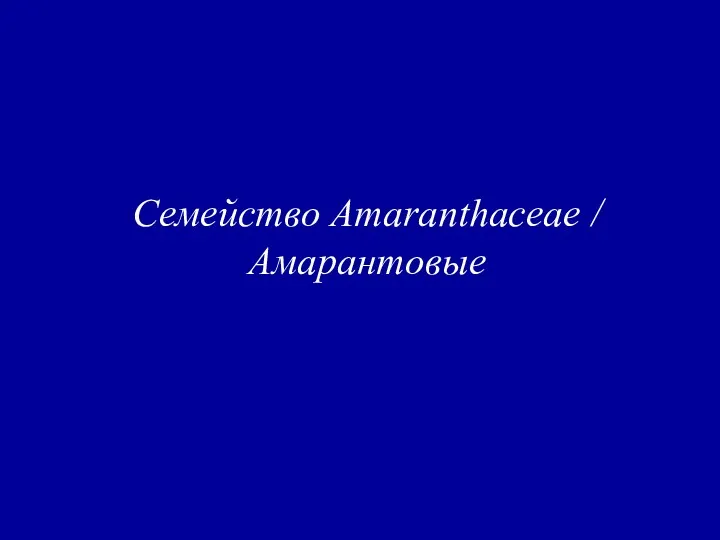 Семейство Amaranthaceae / Амарантовые