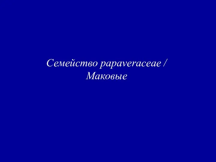 Семейство papaveraceae / Маковые