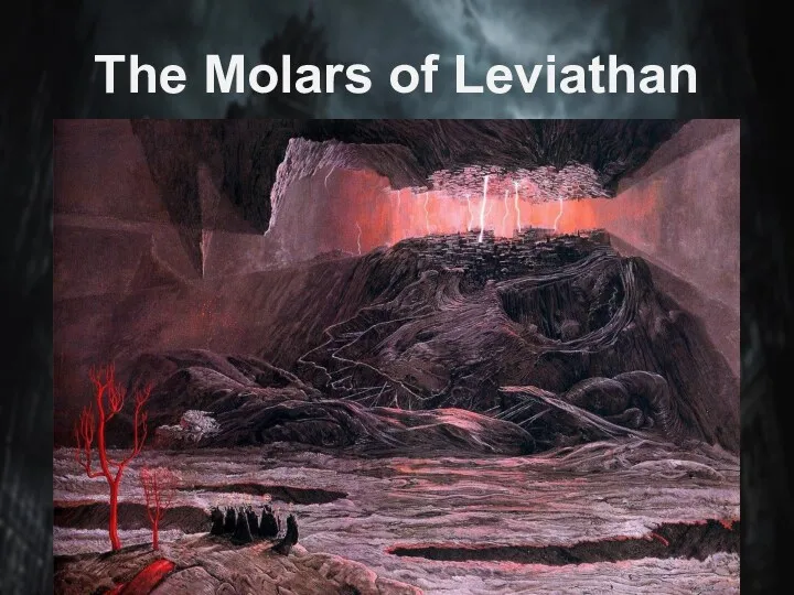 The Molars of Leviathan