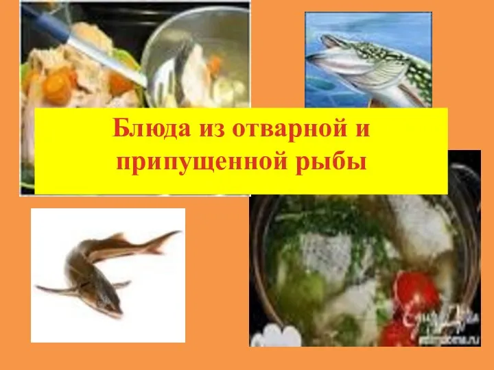 Блюда из отварной и припущенной рыбы