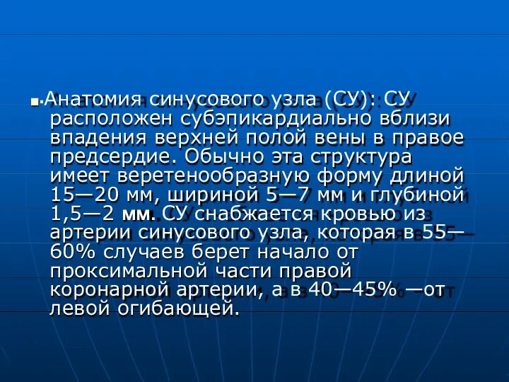 ■▪Анатомия синусового узла (СУ): СУ расположен субэпикардиально вблизи впадения верхней