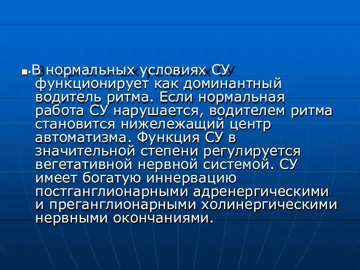 ■▪В нормальных условиях СУ функционирует как доминантный водитель ритма. Если