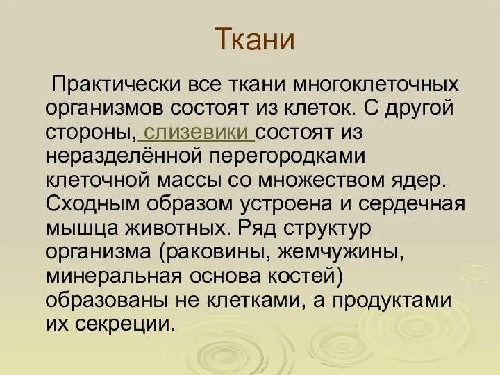 Ткани Практически все ткани многоклеточных организмов состоят из клеток. С