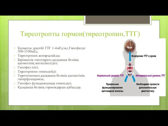 Тиреотропты гормон(тиреотропин,ТТГ) Қалыпты деңгейі ТТГ 1-4мЕд/мл.Гипофизде 500-1500мЕд. Тиреотропин жоғарылайды: Біріншілік