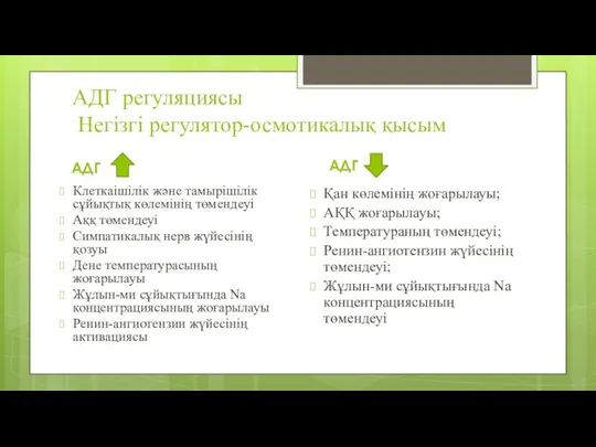 АДГ регуляциясы Негізгі регулятор-осмотикалық қысым АДГ Клеткаішілік және тамырішілік сұйықтық