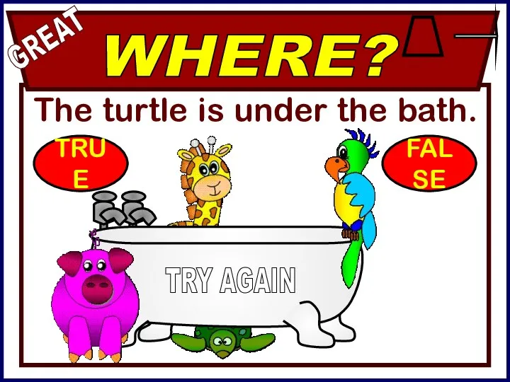 The turtle is under the bath. WHERE? GREAT TRY AGAIN TRUE FALSE