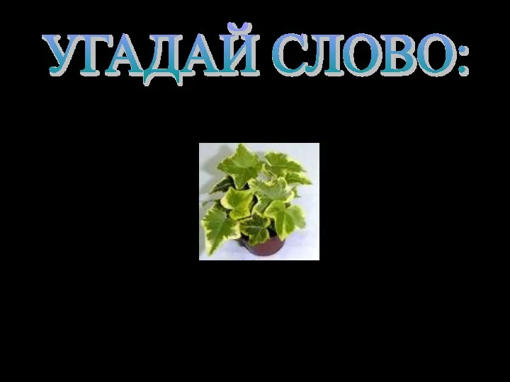 УГАДАЙ СЛОВО: Это есть у слова, растения, уравнения. 2х +