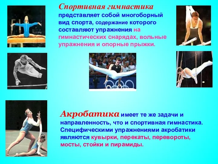 Спортивная гимнастика представляет собой многоборный вид спорта, содержание которого составляют упражнения на гимнастических