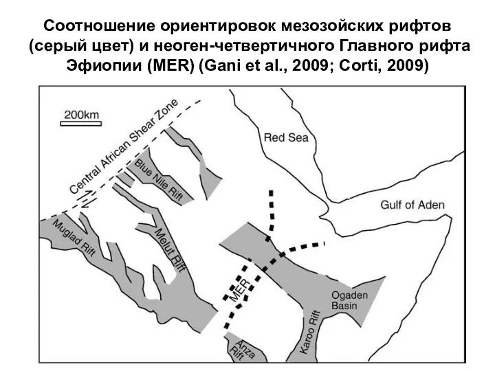 Соотношение ориентировок мезозойских рифтов (серый цвет) и неоген-четвертичного Главного рифта Эфиопии (MER) (Gani