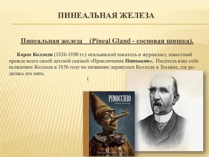 ПИНЕАЛЬНАЯ ЖЕЛЕЗА Пинеальная железа (Pineal Gland - сосновая шишка). Карло