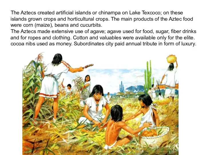 The Aztecs created artificial islands or chinampa on Lake Texcoco;