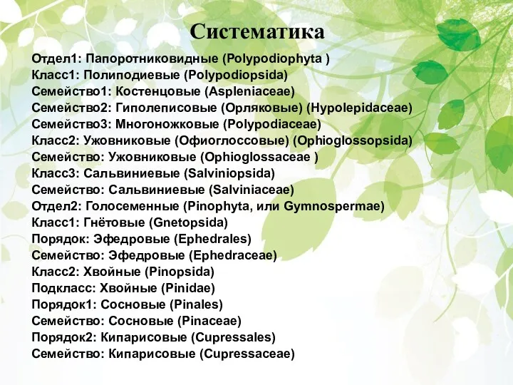 Систематика Отдел1: Папоротниковидные (Polypodiophyta ) Класс1: Полиподиевые (Polypodiopsida) Семейство1: Костенцовые