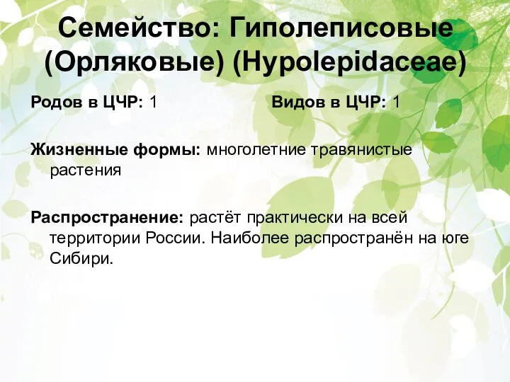 Семейство: Гиполеписовые (Орляковые) (Hypolepidaceae) Родов в ЦЧР: 1 Видов в