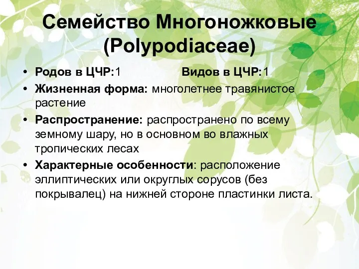 Семейство Многоножковые (Polypodiaceae) Родов в ЦЧР:1 Видов в ЦЧР:1 Жизненная